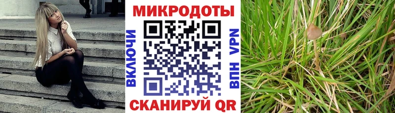 Галлюциногенные грибы Cubensis  Йошкар-Ола 