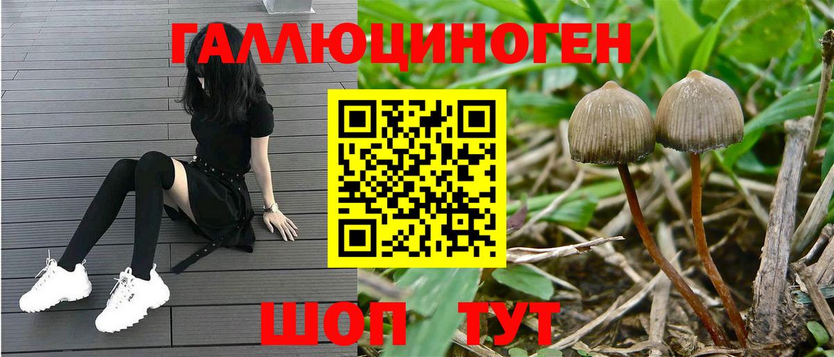 Йошкар-Ола  Галлюциногенные грибы Psilocybe  Вход с VPN 
